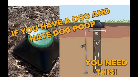 How Does A Dog Septic Tank Work