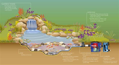 How Does A Fish Pond Filter Work