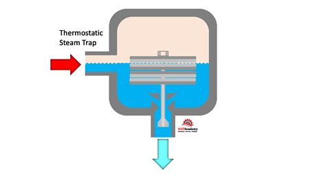 How Does A Float And Thermostatic Trap Work