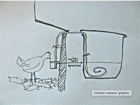 How Does A Galvanized Chicken Waterer Work
