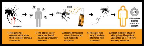 How Does A Insect Repellent Work