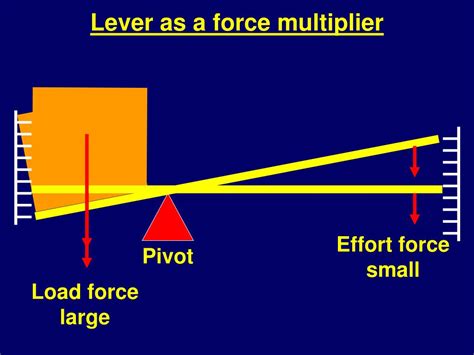How Does A Lever Multiply Force