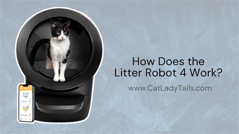 How Does A Litter Robot Work