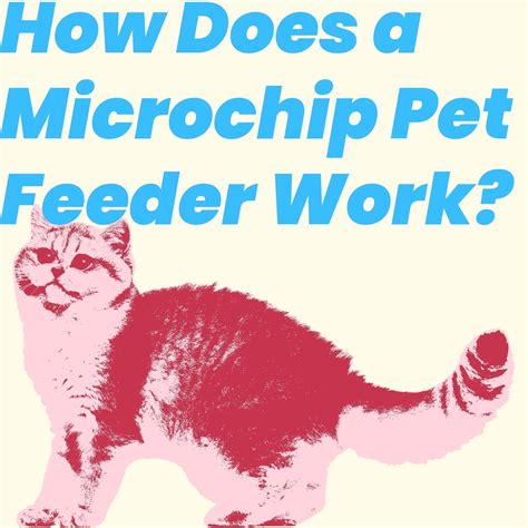 How Does A Microchip Feeder Work