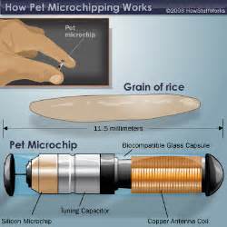 How Does A Microchip In A Pet Work