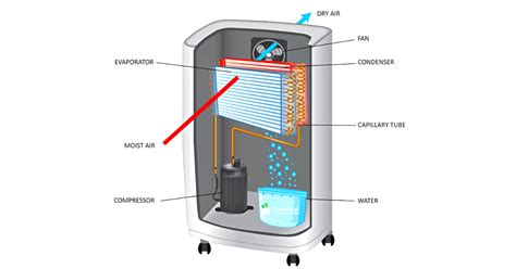 How Does A Quest Dehumidifier Work