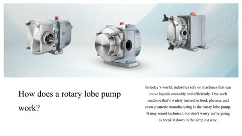 How Does A Rotary Lobe Pump Work