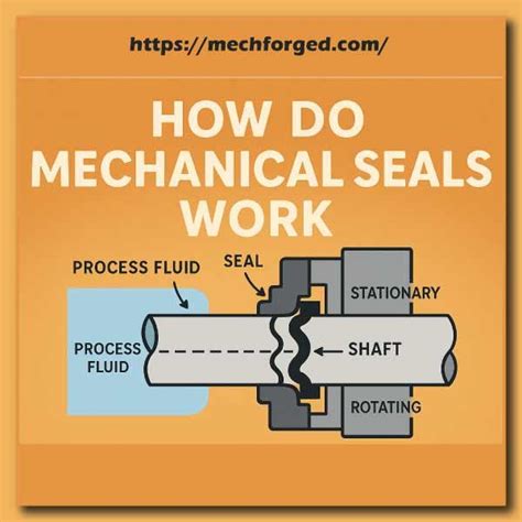 How Does A Seal Work