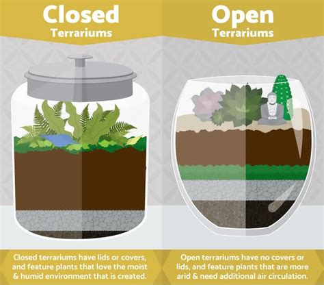 how does a sealed terrarium work