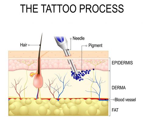 How Does A Tattoo Needle Work
