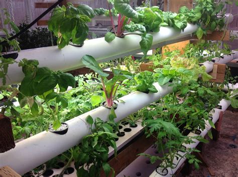 How Does A Vertical Hydroponic System Work
