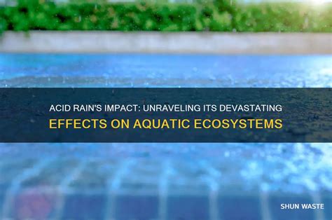 How Does Acid Rain Affect Concrete