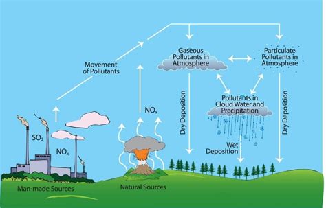 How Does Acid Rain Affect Ecosystems Quizlet