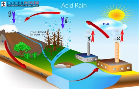 How Does Acid Rain Look Like