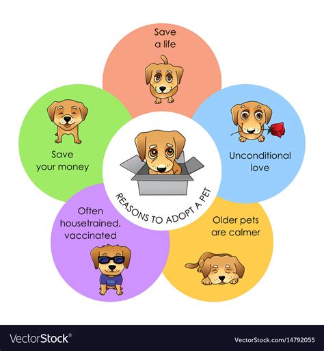 How Does Adopt A Pet Work