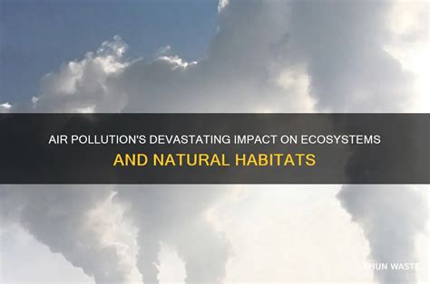 How Does Air Pollution Affect Ecosystems