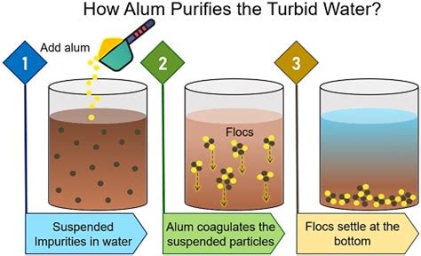 How Does Alum Help In Sedimentation