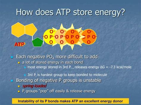 how does atp store energy