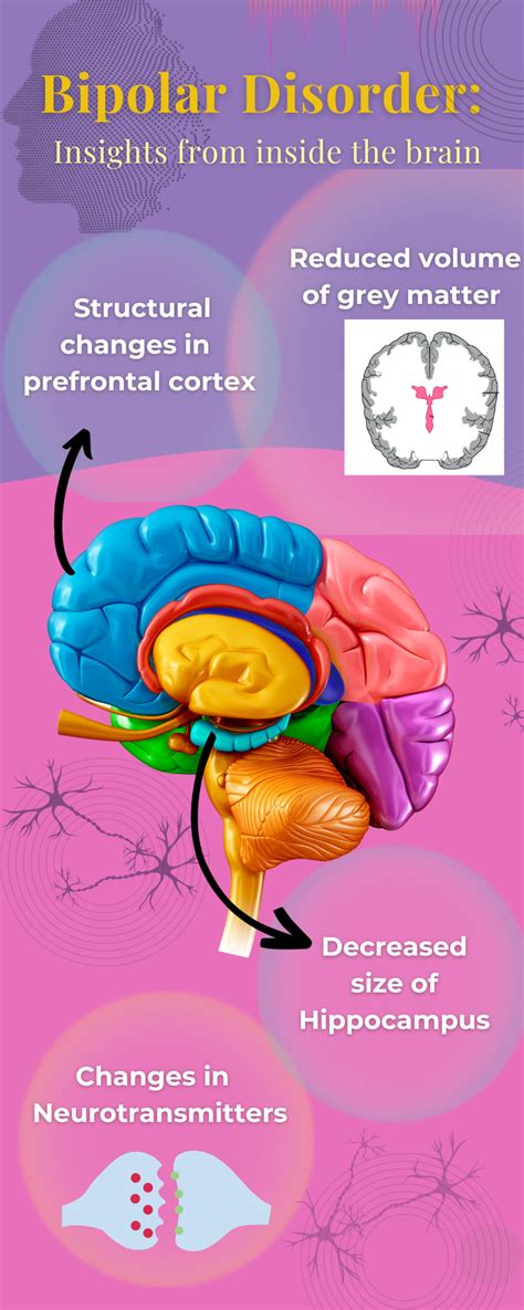 how does bipolar disorder affect the brain