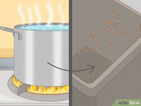 How Does Boiling Water Kill Maggots