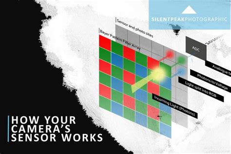 how does camera sensor work