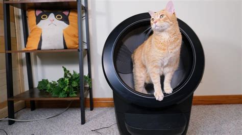 How Does Cat Litter Robot Work