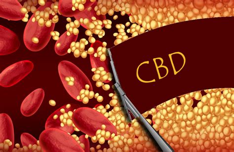 how does cbd interact with blood thinners
