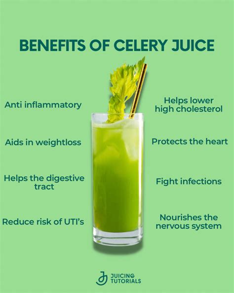 How Does Celery Juice Help The Body