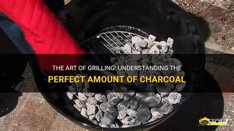 How Does Charcoal Work Grill