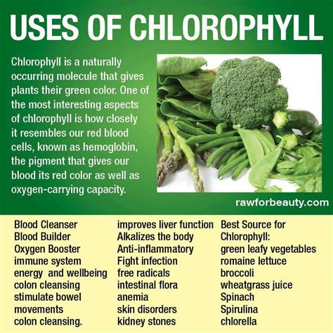 How Does Chlorophyll Supplement Work