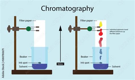 How Does Chromatography Separate Components Of A Mixture