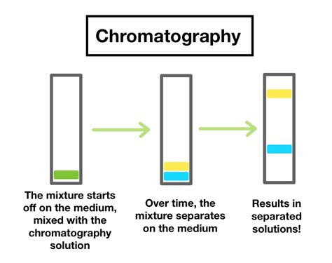 How Does Chromatography Work To Separate Mixtures