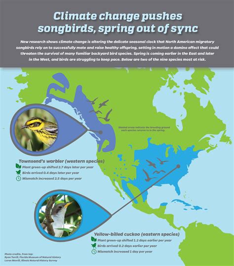 how does climate change affect migration patterns of animals