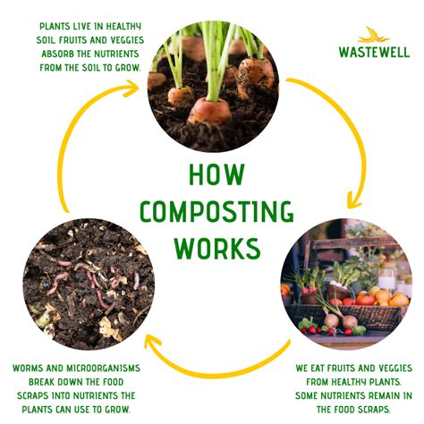 How Does Composting Work Reddit