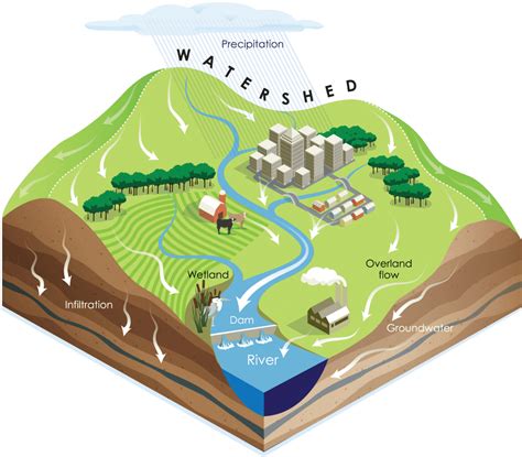how does construction affect a watershed