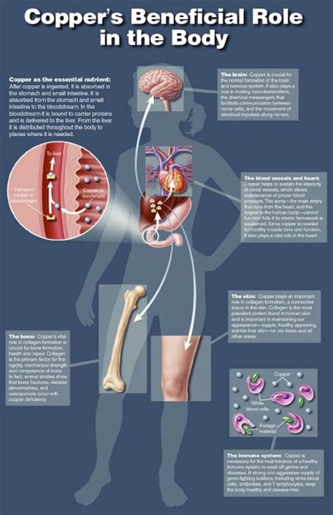 How Does Copper Work For Pain
