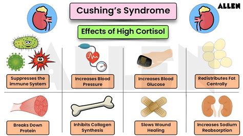 How Does Cortisol Cause Cushing S