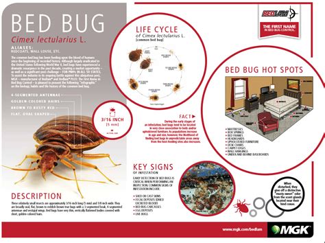 How Does Crossfire Bed Bug Work