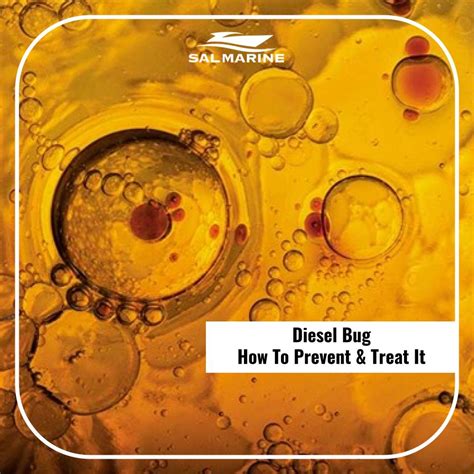 How Does Diesel Bug Start