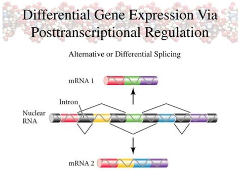 How Does Differential Gene Expression Occur