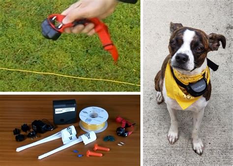 How Does Dog Electric Fence Work