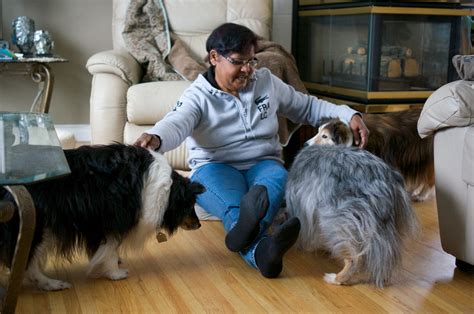 How Does Dog House Sitting Work