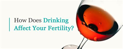 how does drinking affect ovulation