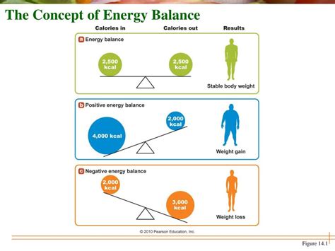 How Does Energy Balance Work