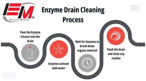 How Does Enzyme Cleaner Work