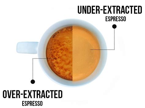 How Does Espresso Affect The Body