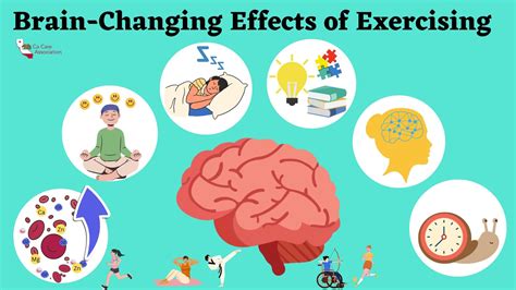 how does exercise affect brain
