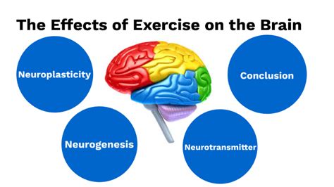 how does exercise affect brain function