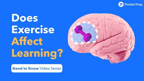 how does exercise affect your learning