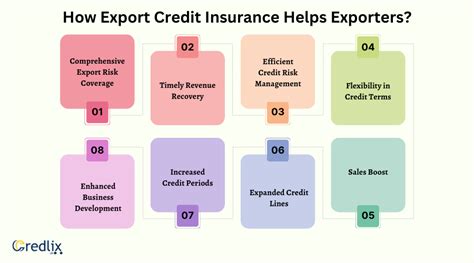 How Does Export Credit Insurance Work